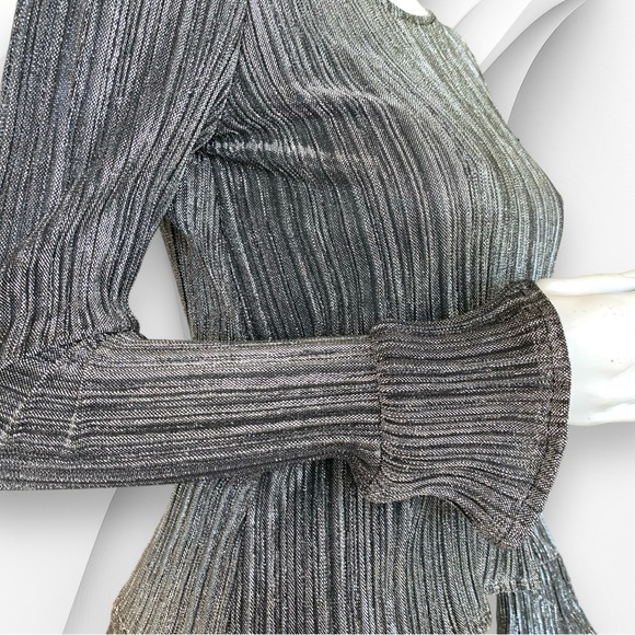 SOCIETY AMUSE SILVER METALLIC PLISSE PANTS & MATCHING TOP. WOMEN’S SIZE XS. NWT - Picture 6 of 11